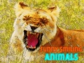 Igra Funny Smiling Animals