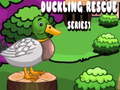 Igra Duckling Rescue Series1
