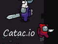 Igra Catac.io