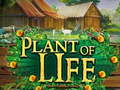 Igra Plant of Life