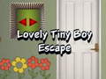 Igra Lovely Tiny Boy Escape