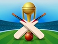 Igra Cricket Champions Cup
