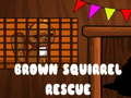 Igra Brown Squirrel Rescue
