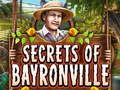 Igra Secrets of Bayronville