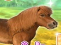 Igra My Dear Pony