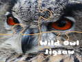 Igra Wild owl Jigsaw