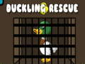 Igra Duckling Rescue