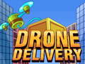 Igra Drone Delivery