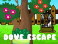 Igra Dove Escape