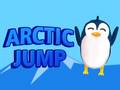 Igra Arctic Jump