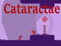 Igra Cataractae