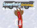 Igra Snowfield Driving