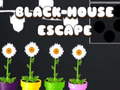 Igra Black House Escape