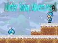 Igra Winter Snowy Adventures 1
