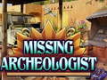 Igra Missing Archeologist
