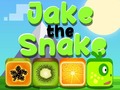 Igra Jake The Snake