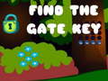 Igra Find the Gate Key