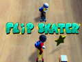 Igra Flip Skater