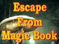 Igra Escape From Magic Book