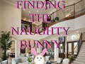 Igra Finding The Naughty Bunny