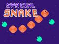 Igra Spacial Snake
