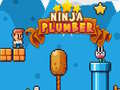 Igra Ninja Plumber