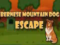 Igra Bernese Mountain Dog Escape