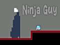 Igra Ninja Guy