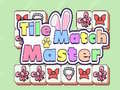 Igra Tile Match Master