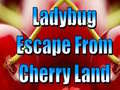 Igra Ladybug Escape From Cherry Land