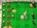 Igra Plants Vs Zombies DS