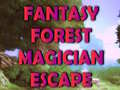 Igra Fantasy Forest Magician Escape