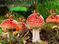 Igra Mushroom Forest Adventure