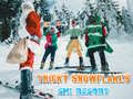 Igra Ski Resort Hidden Snowflakes