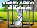 Igra Rabbits Carrot Conundrum