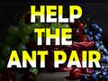 Igra Help The Ant Pair