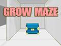 Igra Grow Maze