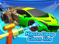 Igra House Deep Clean Sim