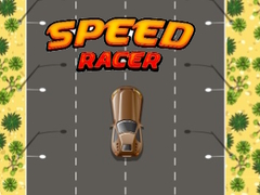 Igra Speed Racer