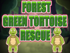 Igra Forest Green Tortoise Rescue