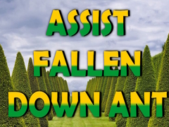 Igra  Assist Fallen Down Ant