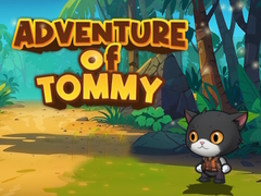 Igra Advanture Of Tommy