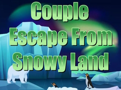 Igra Couple Escape from Snowy Land