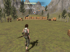 Igra Archers Arena