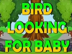 Igra Bird Looking For Baby