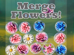 Igra Merge Flowers!