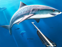 Igra Hunting Underwater Spearfishing