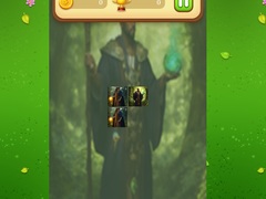 Igra Nature Druid Memory Match