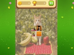 Igra Farm Cat Memory Match