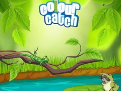 Igra Colour Catch